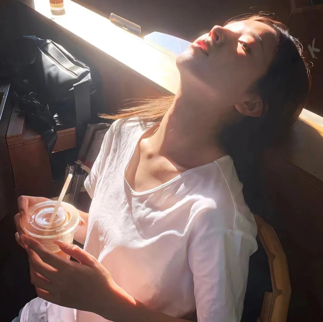 我真的只会砍树不会修仙